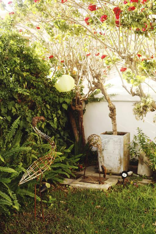 Number5 Guesthouse Cape Town Bagian luar foto