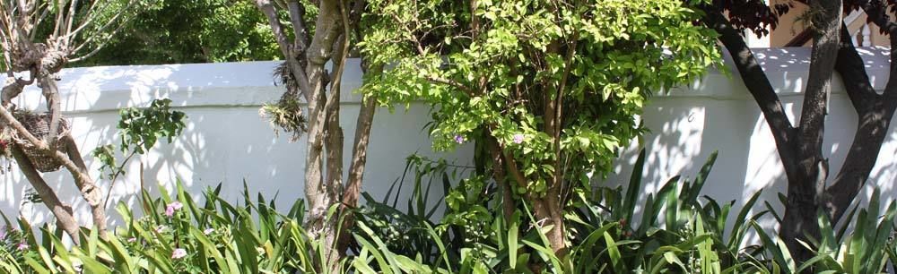 Number5 Guesthouse Cape Town Bagian luar foto